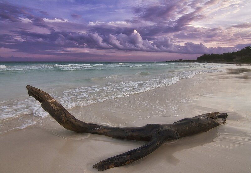 Driftwood on Beach — Purple, Dramatic, Sunset, Photograph, Ocean, Clouds