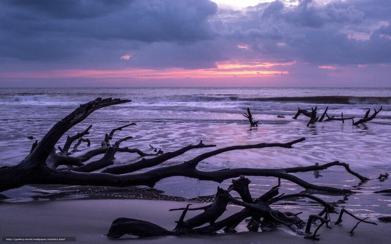 Driftwood on Beach — Purple, Dramatic, Sunset, Photograph, Ocean, Sky, Clouds