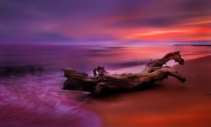 Driftwood on Beach — Purple, Dramatic, Sunset, Photograph, Ocean, Sky, Sand