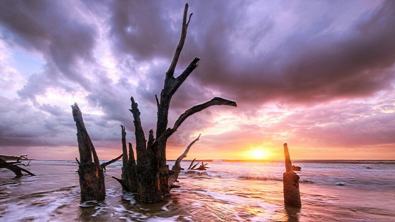 Driftwood on Beach — Purple, Dramatic, Sunset, Photograph, Ocean, Sky