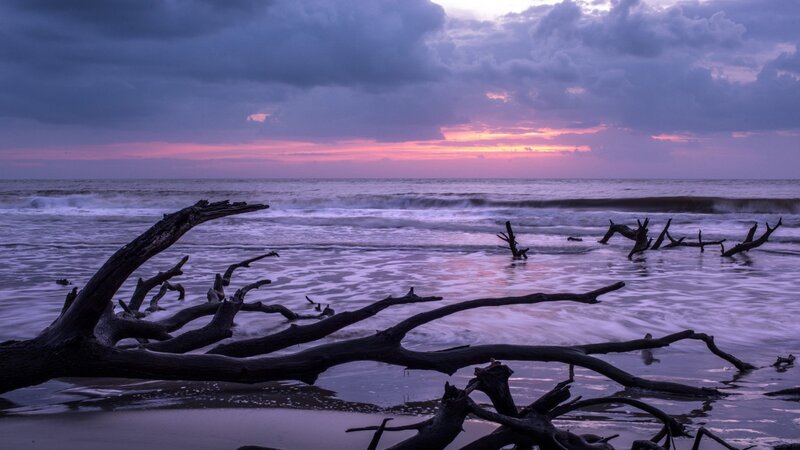 Driftwood on Beach — Purple, Dramatic, Sunset, Photograph, Ocean