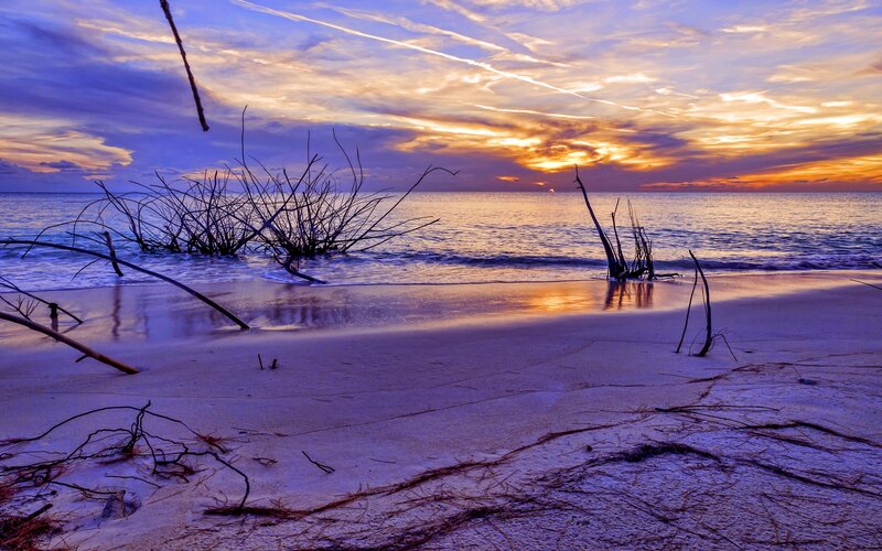Driftwood on Beach — Purple, Dramatic, Sunset, Photograph