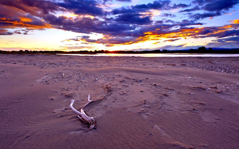 Driftwood on Beach — Purple, Dramatic, Sunset