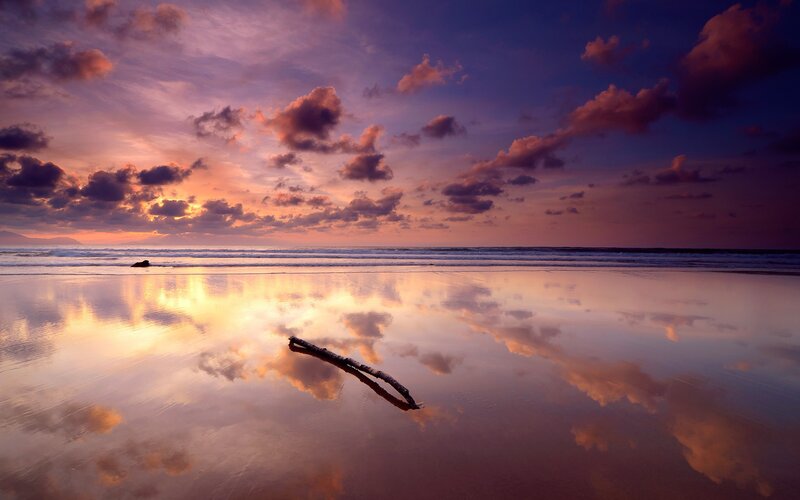 Driftwood on Beach — Purple, Serene, Sunset, Photograph, Clouds, Ocean, Sand