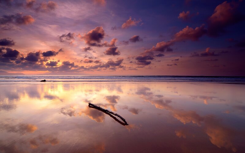 Driftwood on Beach — Purple, Serene, Sunset, Photograph, Clouds