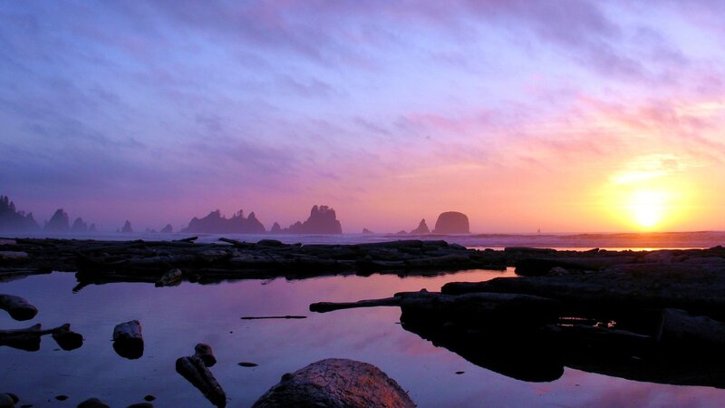 Driftwood on Beach — Purple, Serene, Sunset