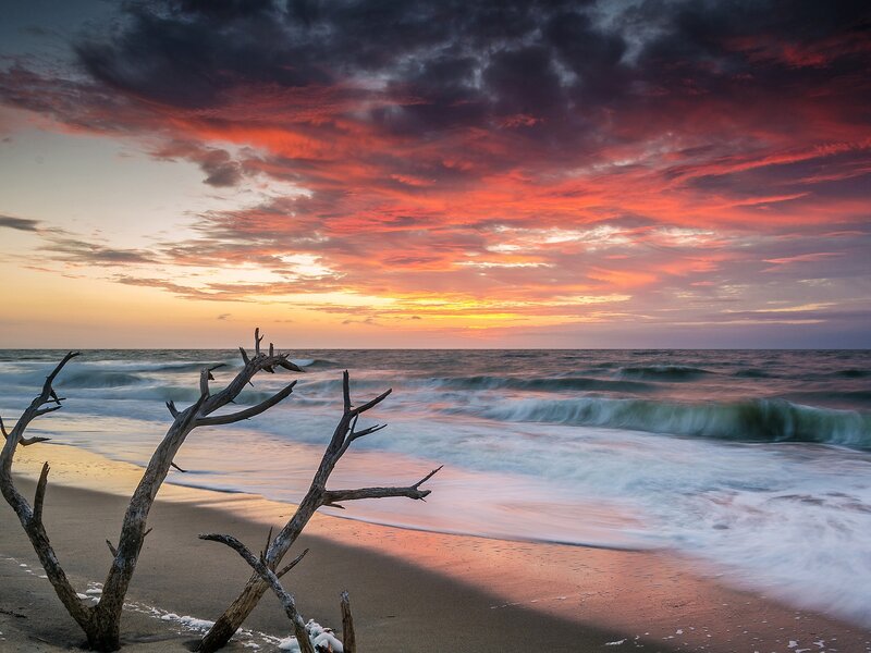 Driftwood on Beach — Red, Dramatic, Sunset, Photograph, Ocean, Sky