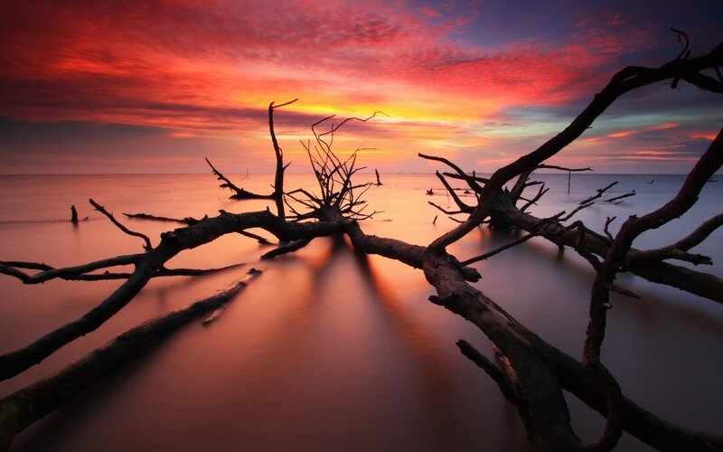 Driftwood on Beach — Red, Dramatic, Sunset, Photograph, Sky