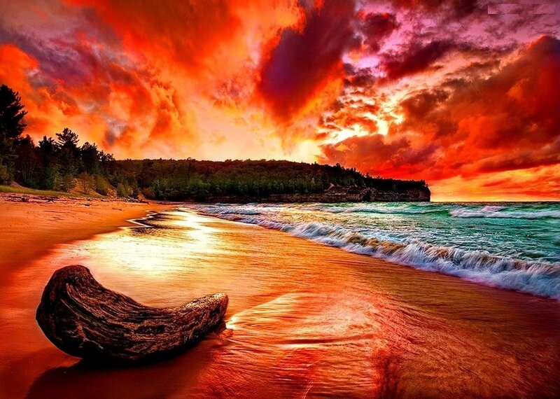 Driftwood on Beach — Red, Dramatic, Sunset, Photograph