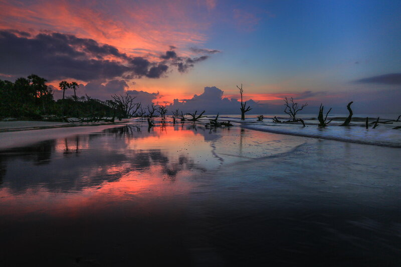 Driftwood on Beach — Red, Dramatic, Sunset, Photograph, Trees