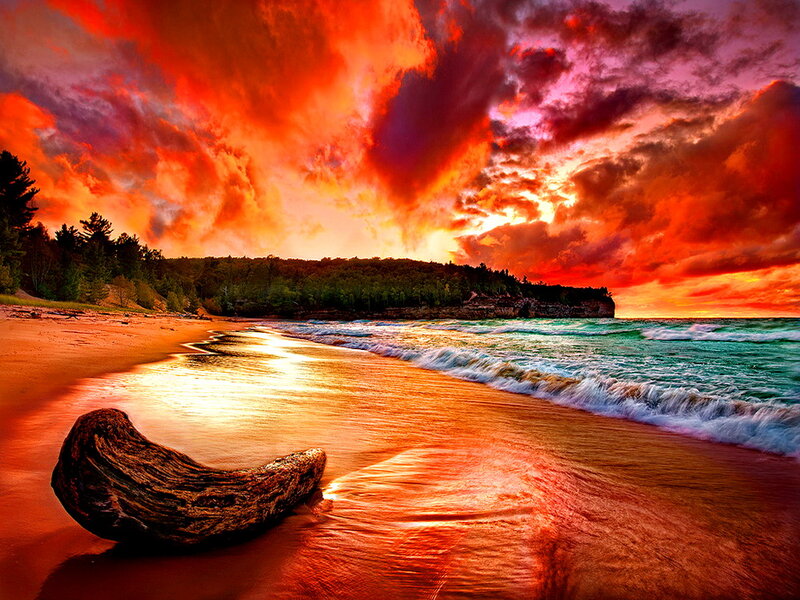 Driftwood on Beach — Red, Dramatic, Sunset