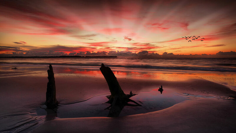 Driftwood on Beach — Red, Dramatic