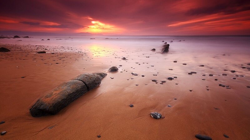 Driftwood on Beach — Red
