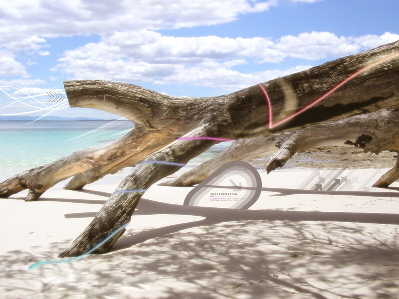 Driftwood on Beach — Sky