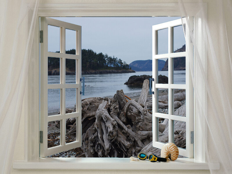 Driftwood on Beach — White, Serene