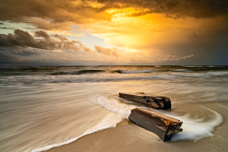 Driftwood on Beach — Yellow, Dramatic, Sunset, Photograph