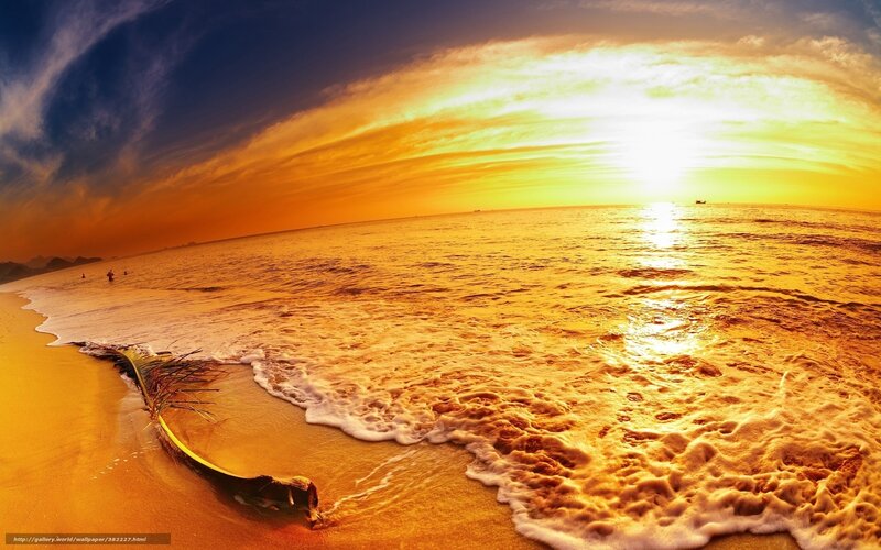 Driftwood on Beach — Yellow, Dramatic, Sunset
