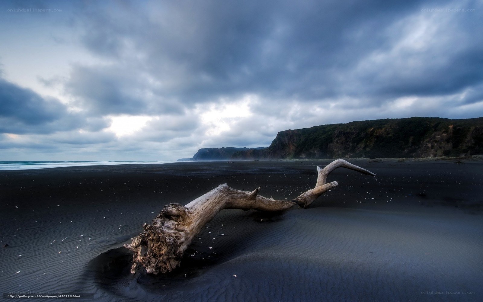 Driftwood on black sand beach
