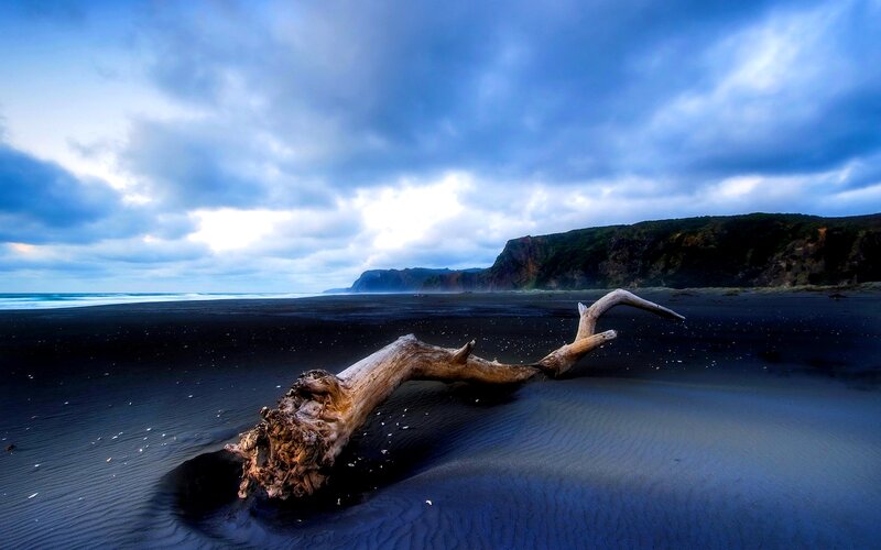 Driftwood on Black Sand — Blue