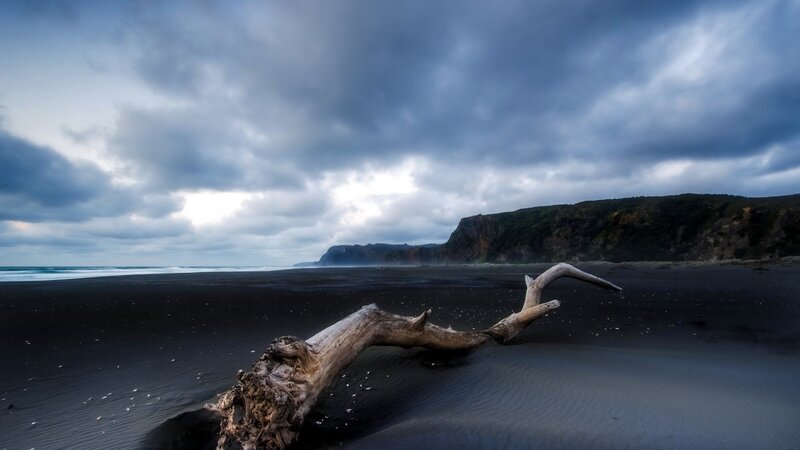 Driftwood on Black Sand — Dramatic