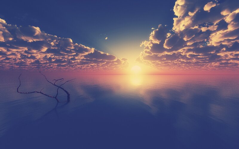 Driftwood on Calm Water — Blue, Serene