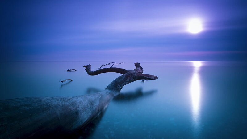 Driftwood on Calm Water — Blue