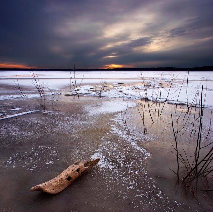 Driftwood on frozen lake at sunset