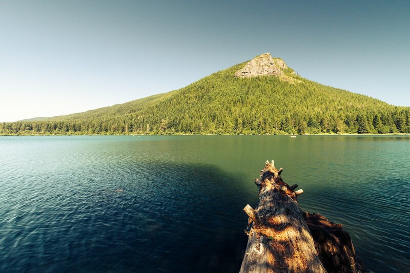 Driftwood on Lake — Blue, Serene, Afternoon, Photograph, Mountain