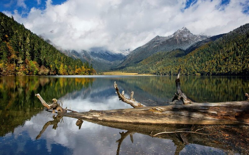 Driftwood on Lake — Blue, Serene, Afternoon, Photograph