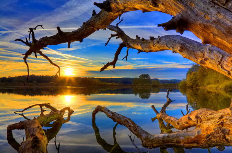 Driftwood on Lake — Blue, Serene, Sunset