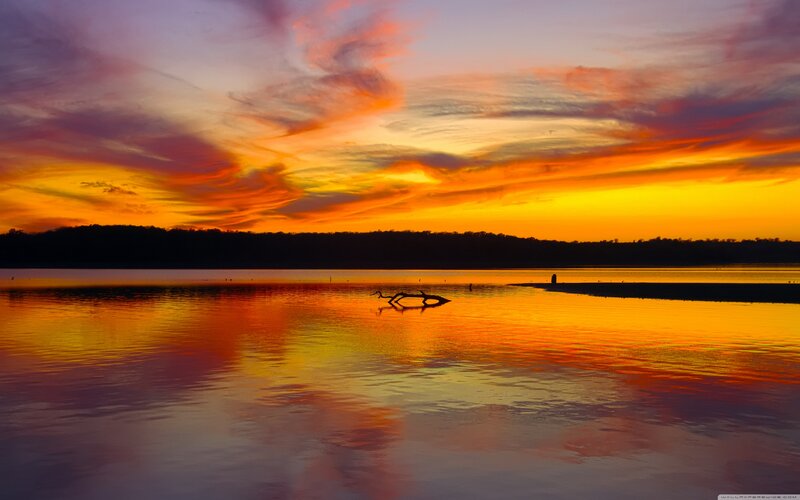 Driftwood on Lake — Orange, Dramatic