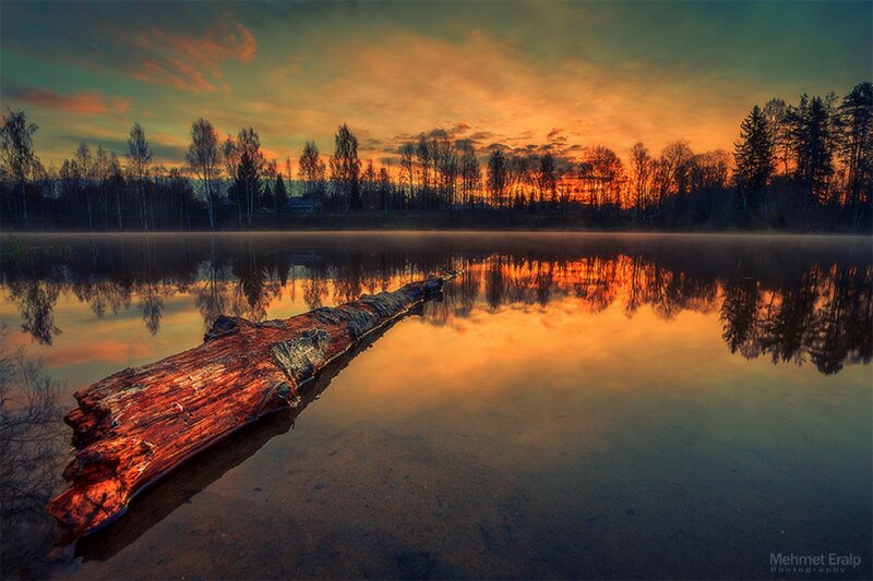 Driftwood on Lake — Orange, Serene, Sunset