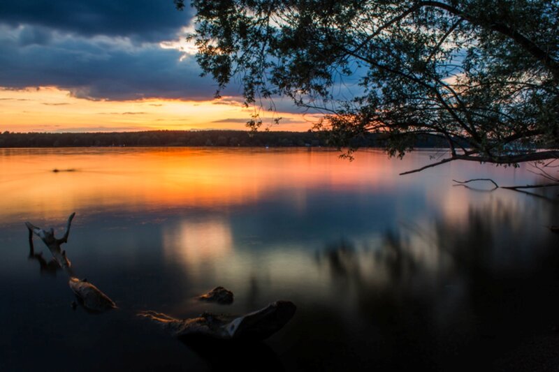 Driftwood on Lake — Orange, Serene