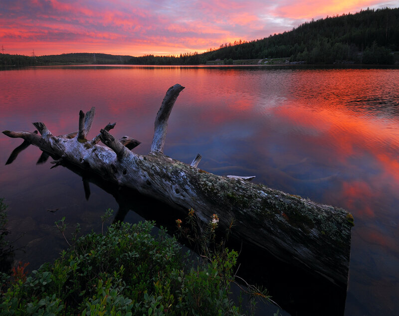 Driftwood on Lake — Red