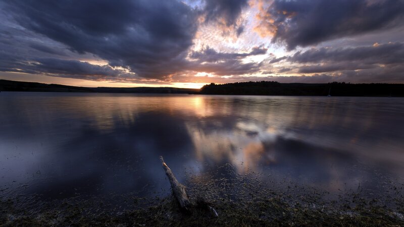 Driftwood on Lake Shore — Blue, Dramatic, Sunset, Photograph, Clouds