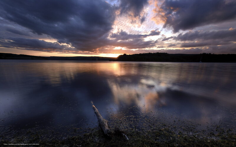Driftwood on Lake Shore — Blue, Dramatic, Sunset