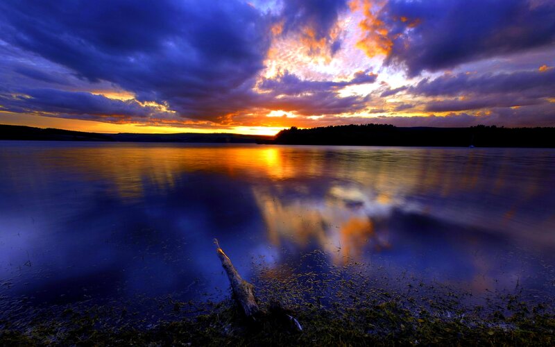 Driftwood on Lake Shore — Blue, Dramatic