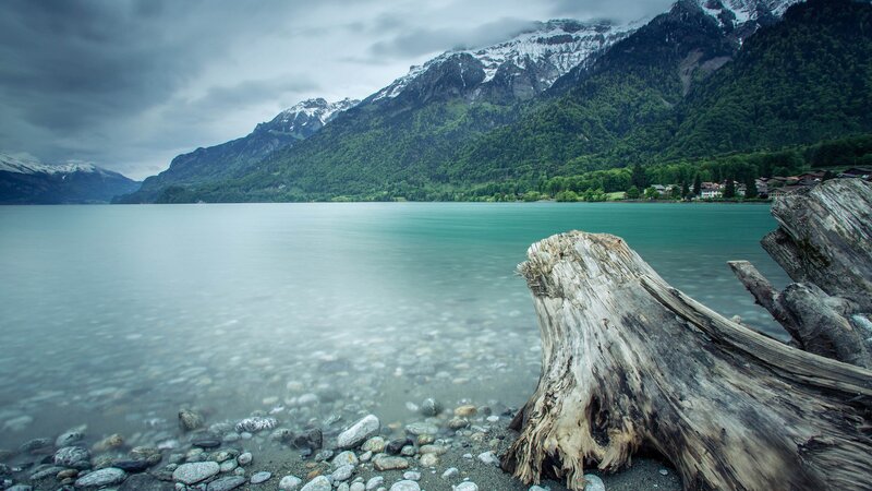 Driftwood on Lake Shore — Blue, Serene, Afternoon, Photograph, Mountains, Trees