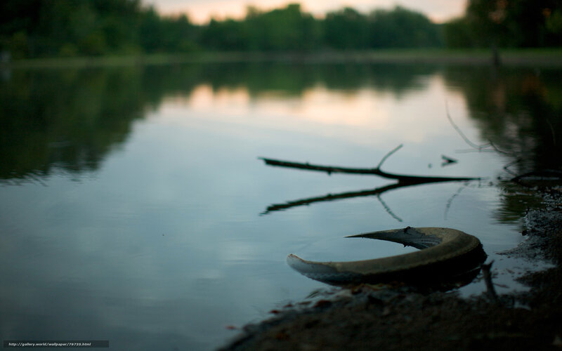 Driftwood on Lake Shore — Blue, Serene, Sunset