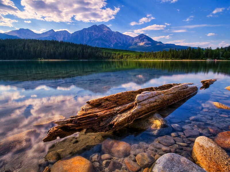 Driftwood on Lake Shore — Blue