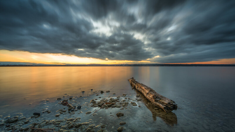 Driftwood on Lake Shore — Gray, Dramatic