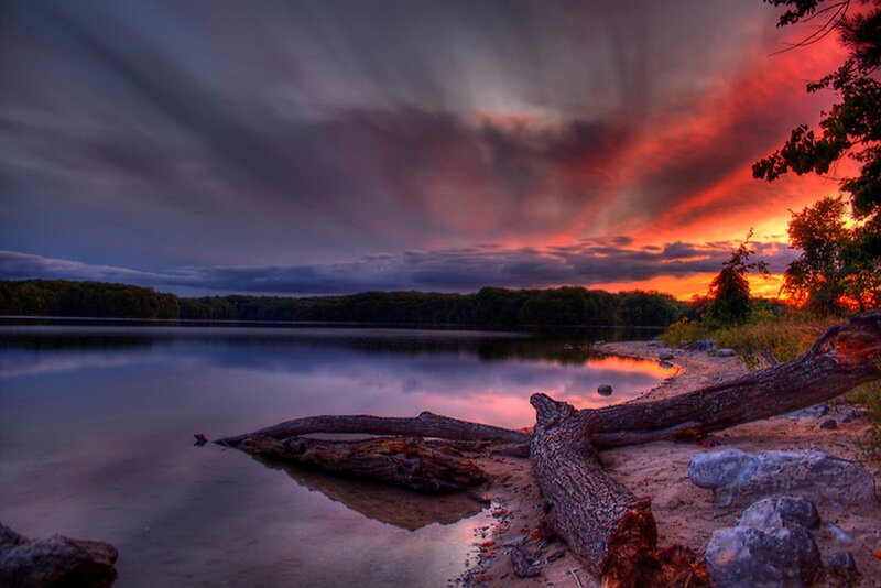 Driftwood on Lake Shore — Red