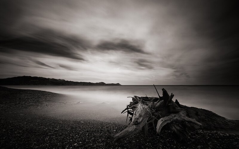 Driftwood on Pebble Beach — Black, Dramatic