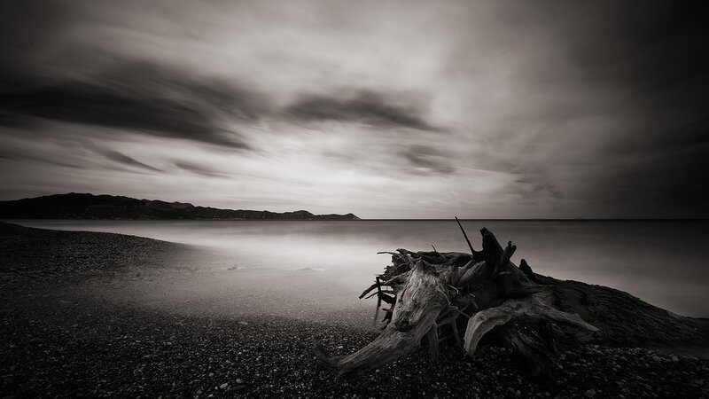 Driftwood on Pebble Beach — Black