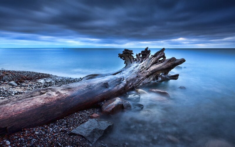 Driftwood on Pebble Beach — Blue, Dramatic, Night, Photograph