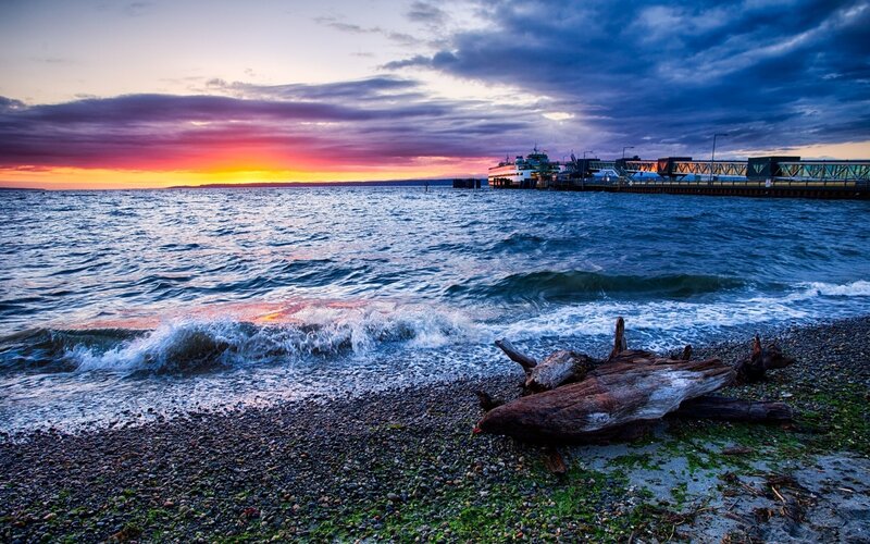 Driftwood on Pebble Beach — Blue, Dramatic, Sunset, Photograph