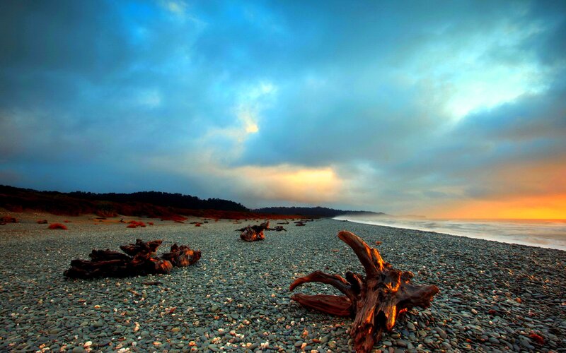Driftwood on Pebble Beach — Blue, Dramatic, Sunset