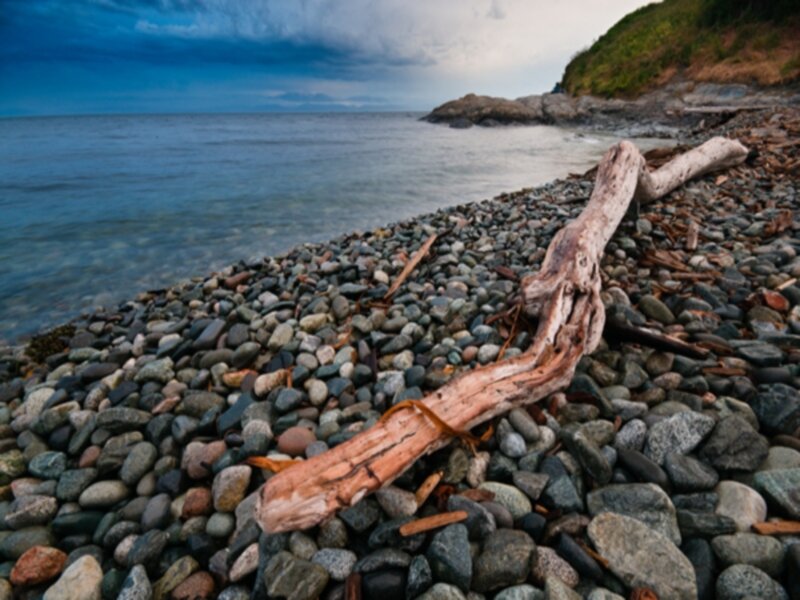 Driftwood on Pebble Beach — Blue, Dramatic
