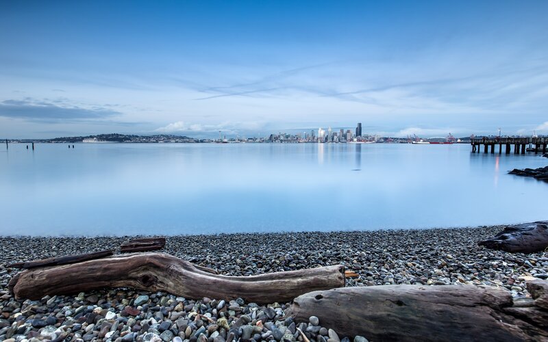 Driftwood on Pebble Beach — Blue, Serene, Morning