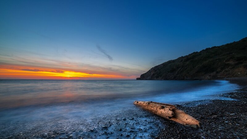 Driftwood on Pebble Beach — Blue, Serene, Sunrise